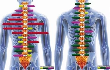 Chiropractic Oklahoma City OK Body Scan